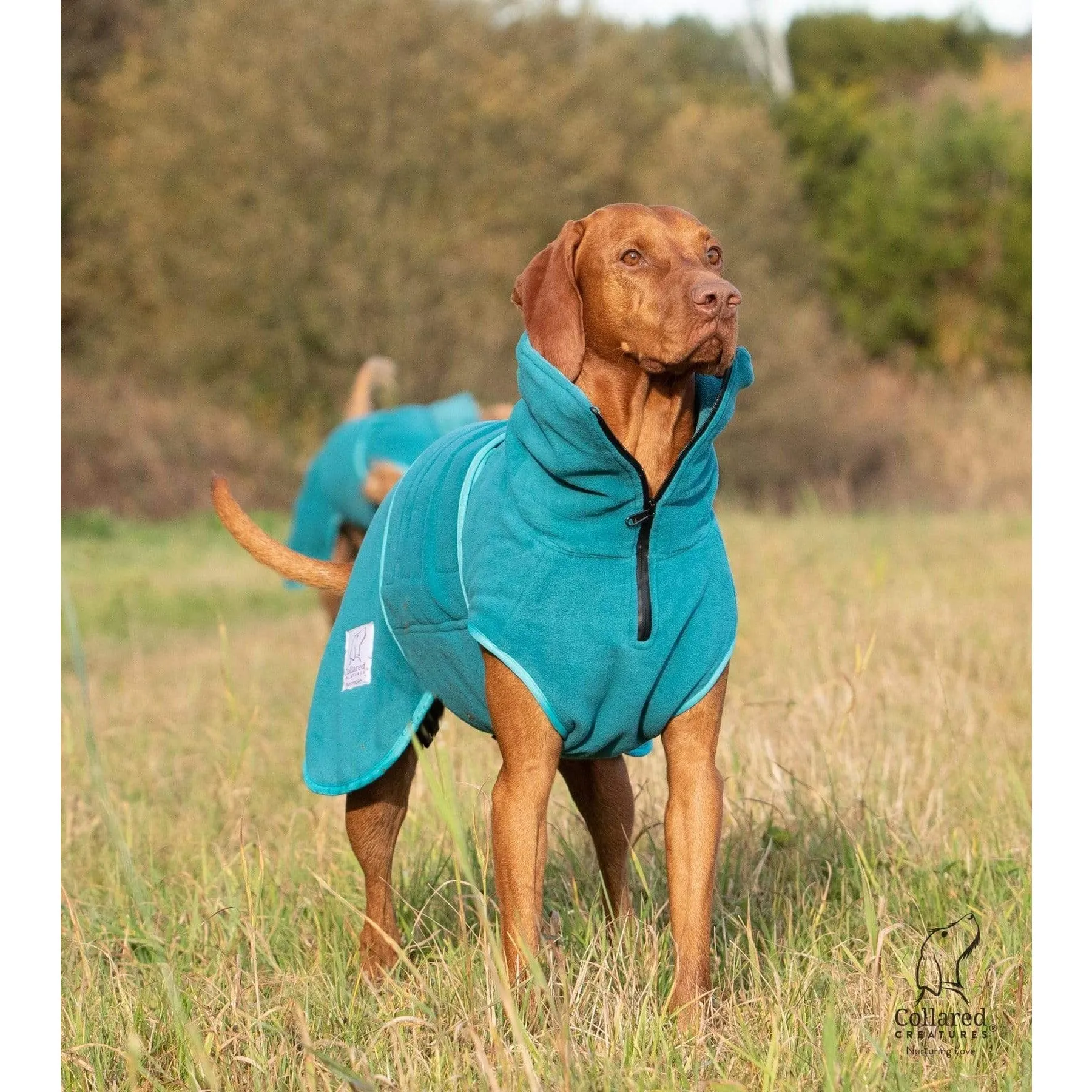 Collared Creatures - Perfectly Practical Dog Drying Coat - Available in 3 Colours