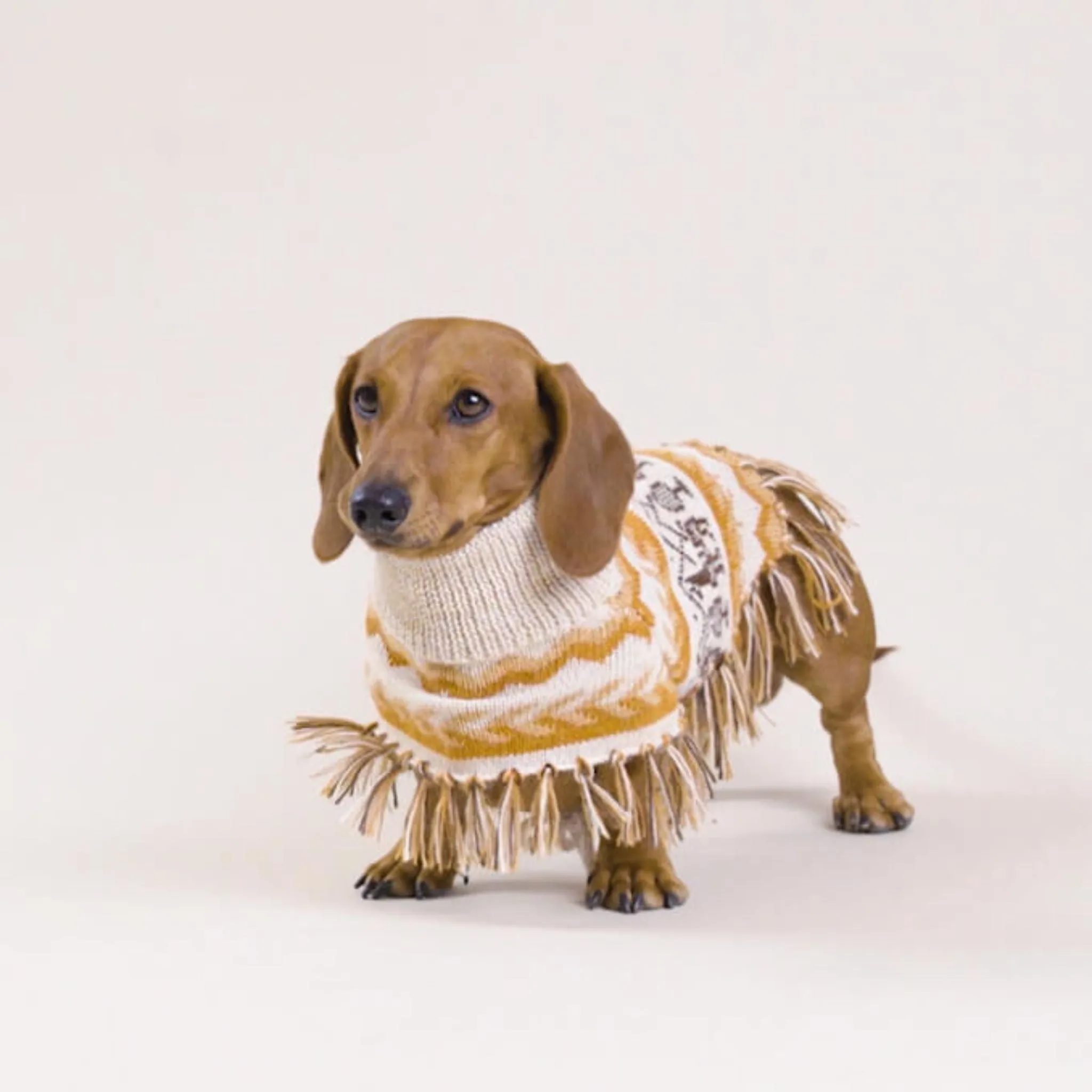 (New) Llama Natural Alpaca  Sweater Dog Poncho