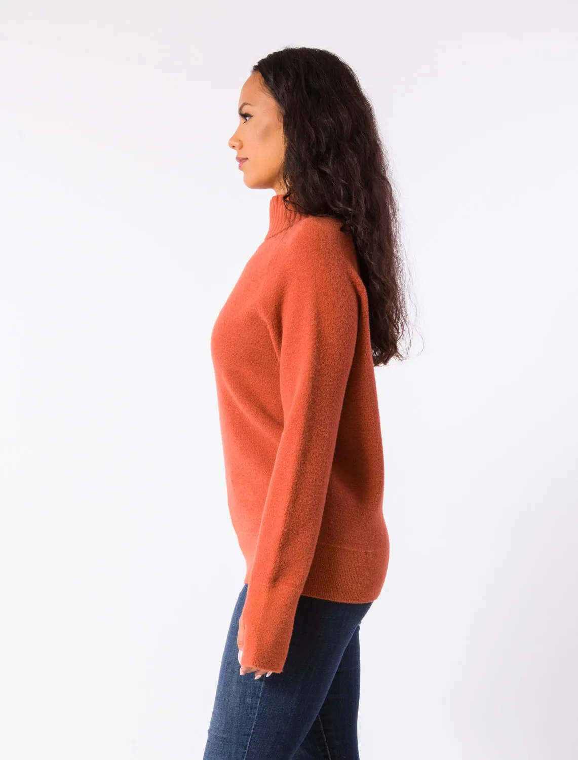 TRISA TURTLENECK